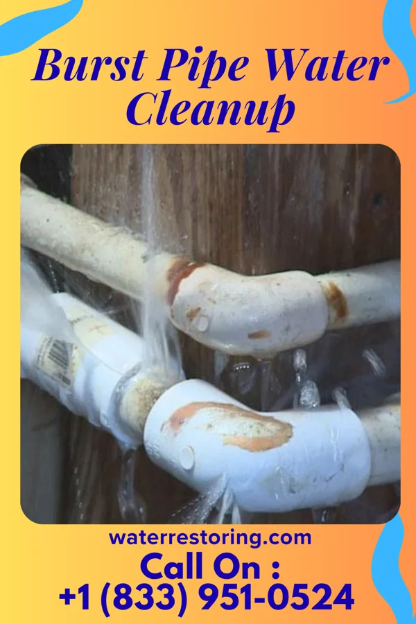 Burst Pipe Water Cleanup in Centerville, PA