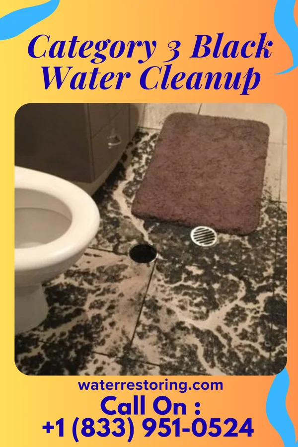 Category 3 Black Water Cleanup in Centerville, PA