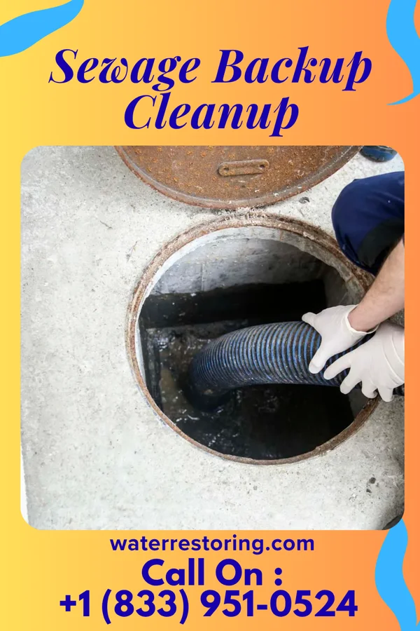 Sewage Backup Cleanup in Centerville, PA