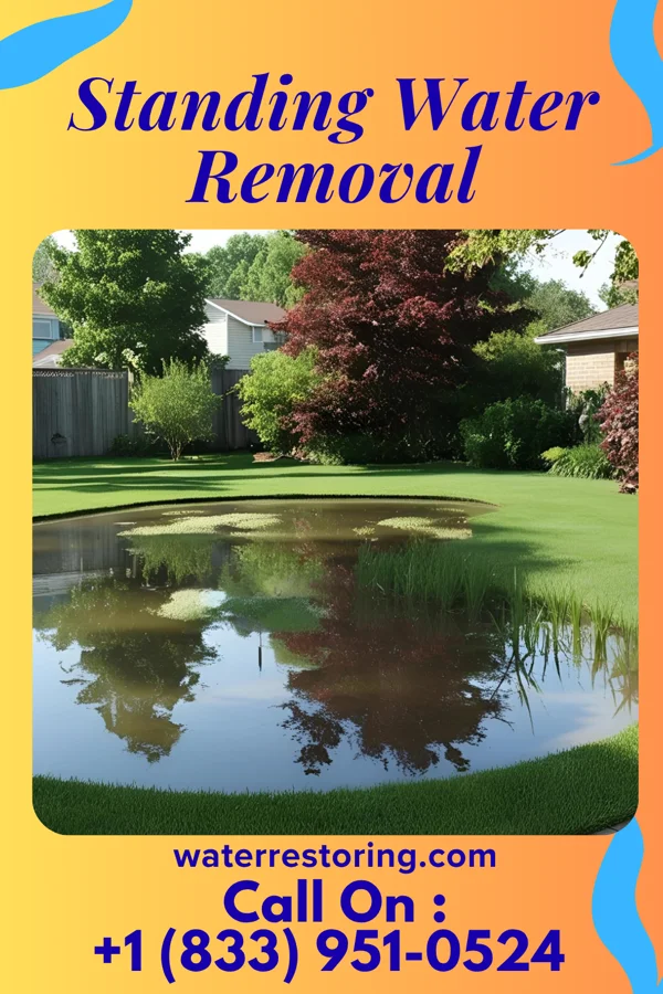 Standing Water Removal in Centerville, PA
